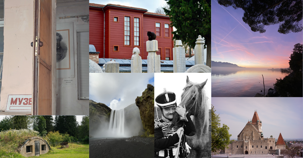 Photo Contest 2024-Collage of photo submissions