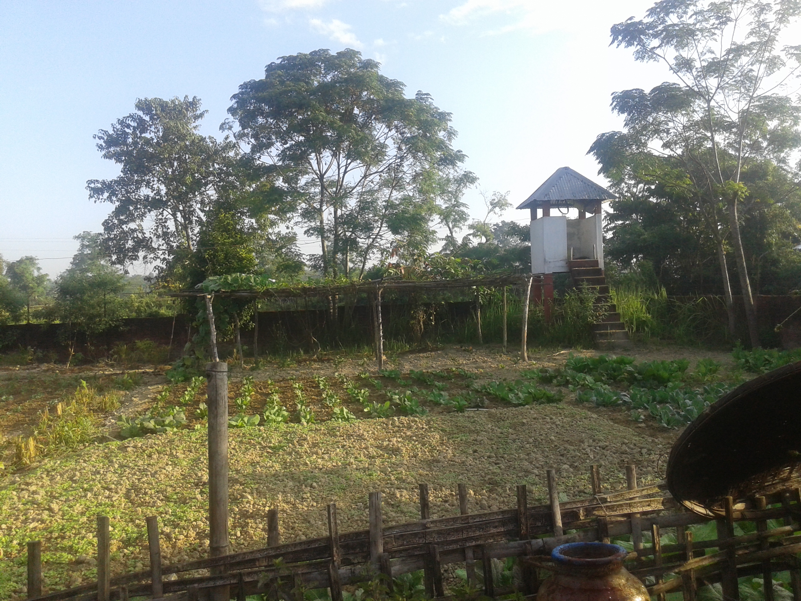 A green garden featuring a structure (most likely a water tower).