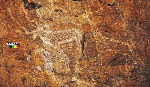 John Darnell, professor of Egyptology at Yale, along with a team of researchers, uncovered a “lost oasis” in the eastern Egyptian desert. One image dates back to about 3,300 B.C.E. and includes large depictions of animals, including an addax, or antelope. “The large addax in particular deserves to be added to the artistic achievements of early Egypt,” says Darnell.