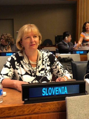 Ambassador Kuret, Permanent Mission of the Republic of Slovenia to the United Nations