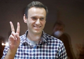 Alexei Navalny in a Moscow courtroom on February 20.
