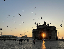Bird fly over a courtyard and historic building in India at sunset