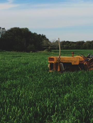 Farm tractor in field of green grass in Spain, Maó