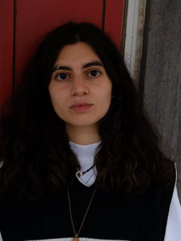 Talin Tahajian