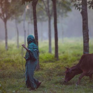 Bangladesh Landscape