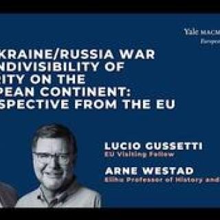 EU Visiting Fellow, Lucio Gussetti