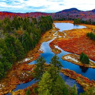 Canadian nature