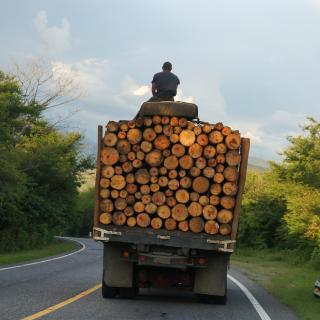 A man rides on a truck full of logs in the Guatemalan countryside