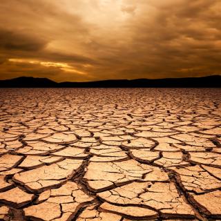 An expansive shot of dry, cracked earth under a yellow sky.