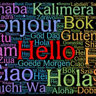 (© stock.adobe.com)