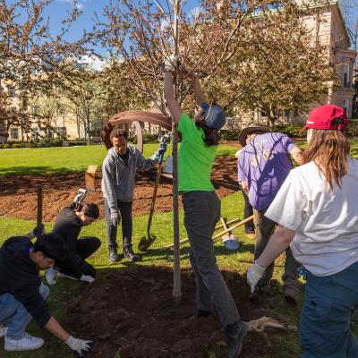 Students planting a tree in commemoration of the Council on African Studies' Project on Religion & Society in Africa