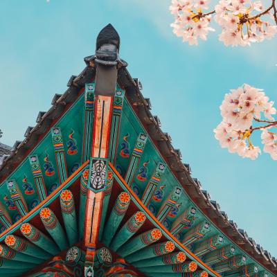 Close-up of the colorful architecture of a Korean temple and cherry blossoms against the sky