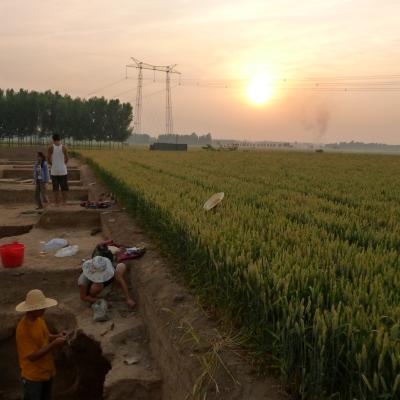 sun setting over Yale and Shandong Daxue students working at the archaeological site of Huangsangyuan in Shandong Province