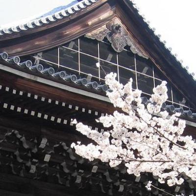 Buddhist Studies